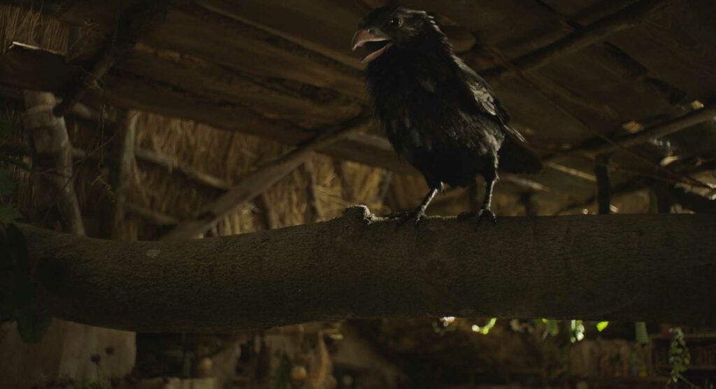 Visual Effects for Die kleine Hexe by Keller.io