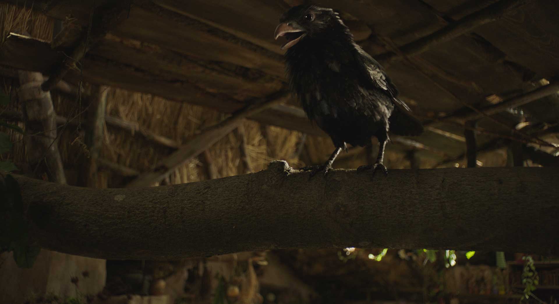 Visual Effects for Die kleine Hexe by Keller.io