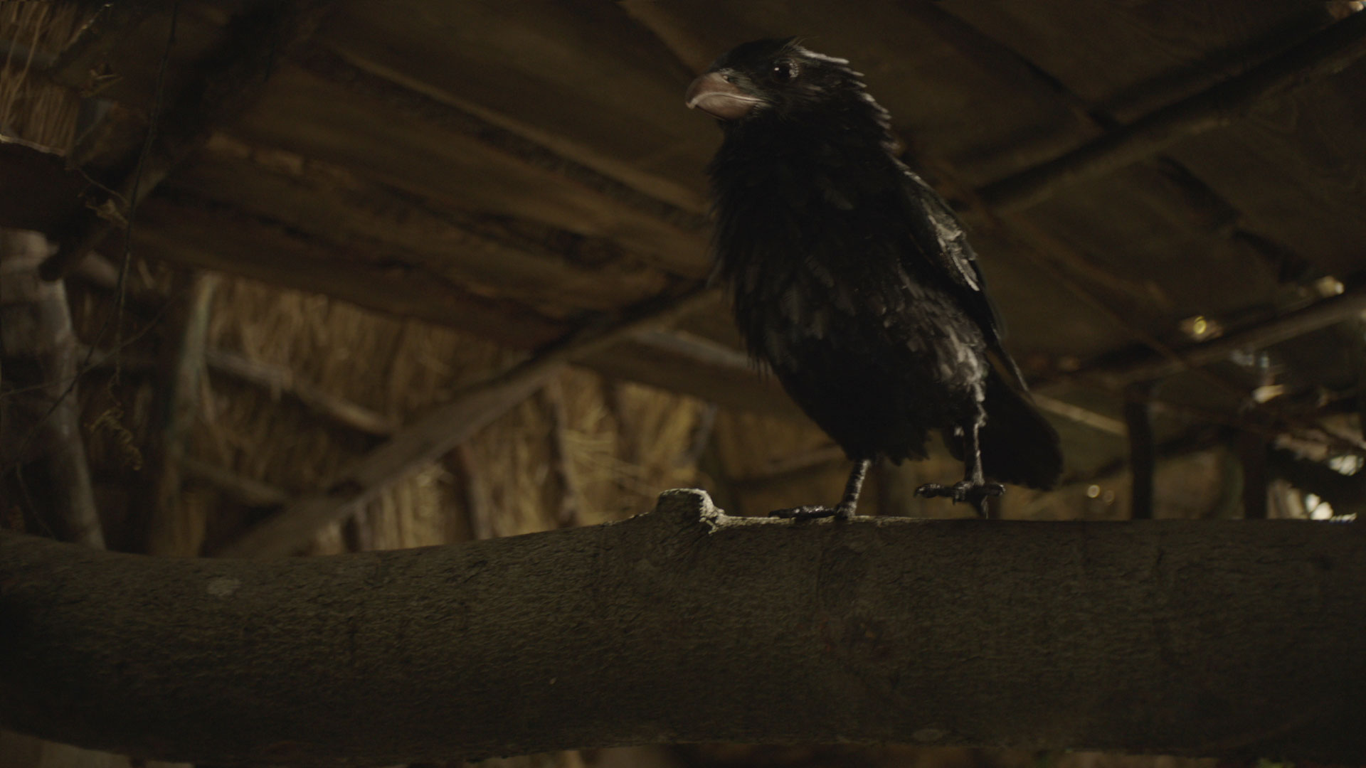 Visual Effects for Die kleine Hexe by Keller.io