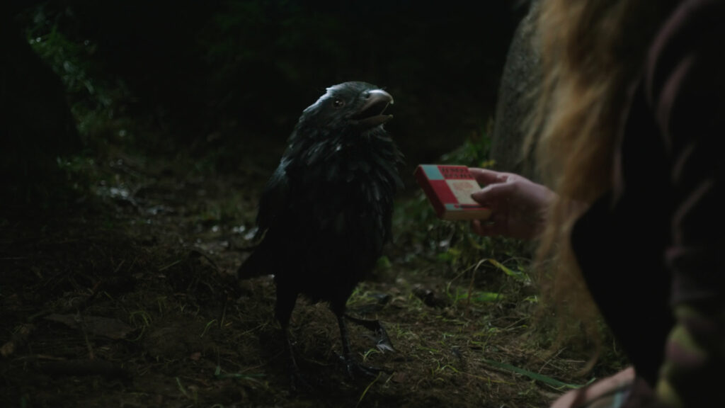 Visual Effects for Die kleine Hexe by Keller.io