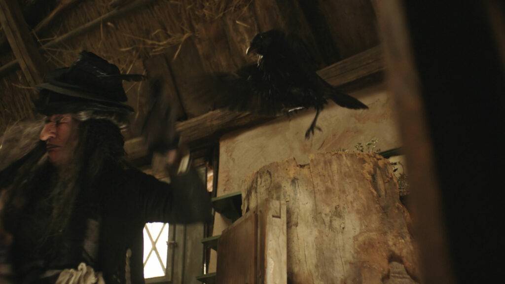 Visual Effects for Die kleine Hexe by Keller.io