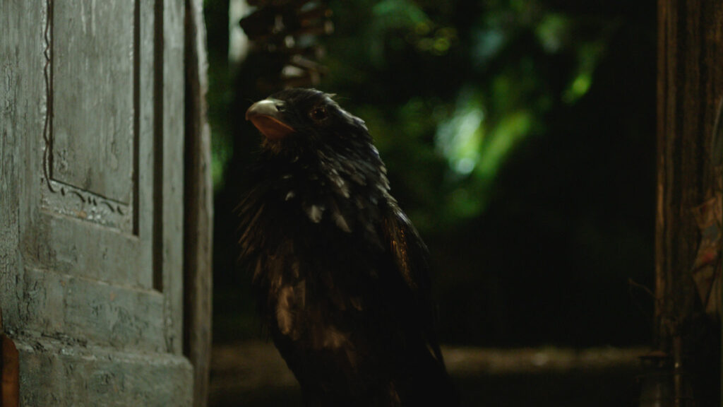 Visual Effects for Die kleine Hexe by Keller.io